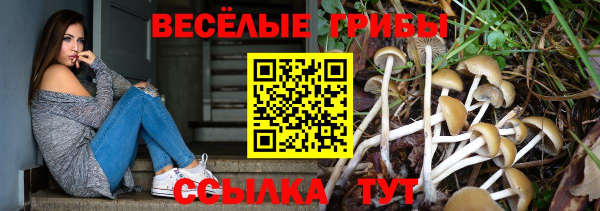 как найти наркотики  Вход с VPN  Лабинск  Галлюциногенные грибы Cubensis 