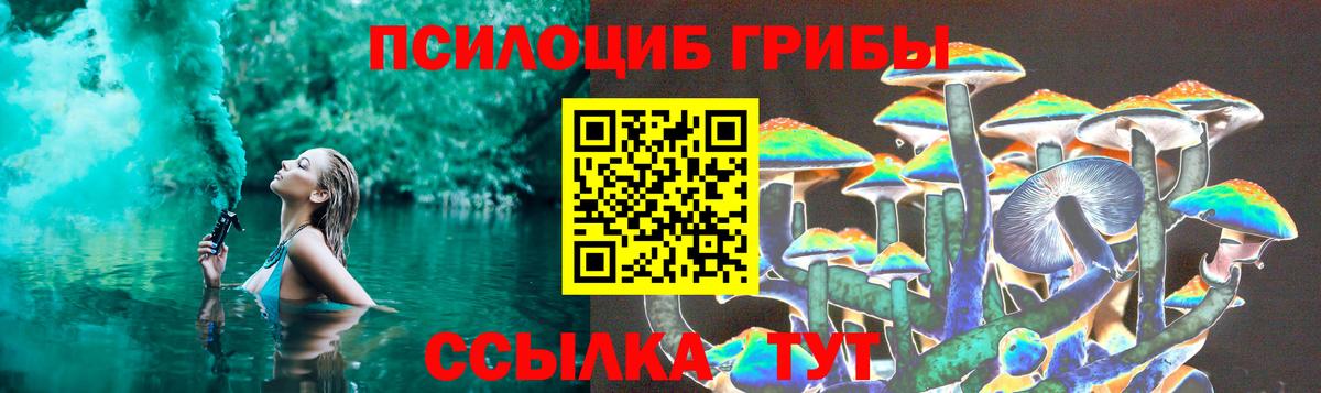 Галлюциногенные грибы Psilocybe Лабинск